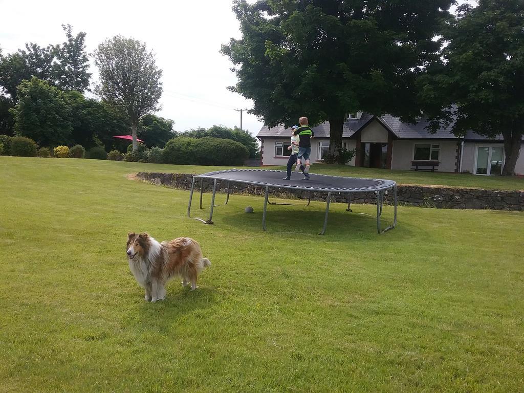 Rocksberry Bed & Breakfast Castlebar Luaran gambar