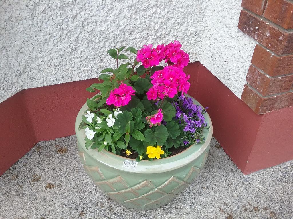 Rocksberry Bed & Breakfast Castlebar Luaran gambar