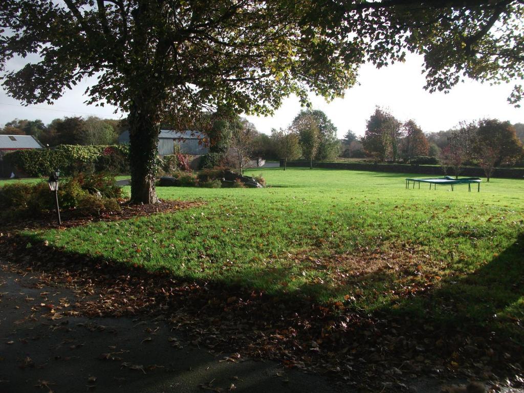 Rocksberry Bed & Breakfast Castlebar Luaran gambar